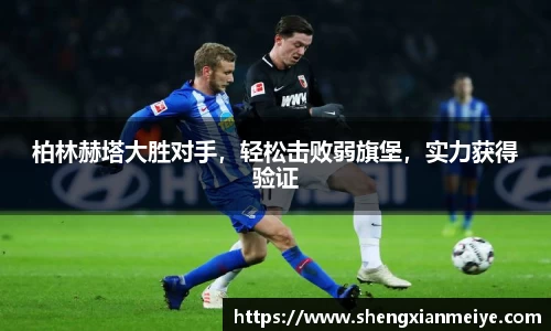 米兰体育官网