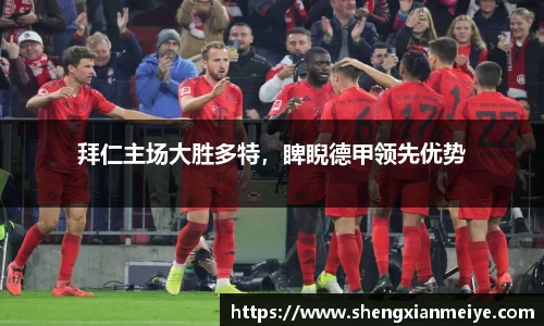 拜仁主场大胜多特，睥睨德甲领先优势