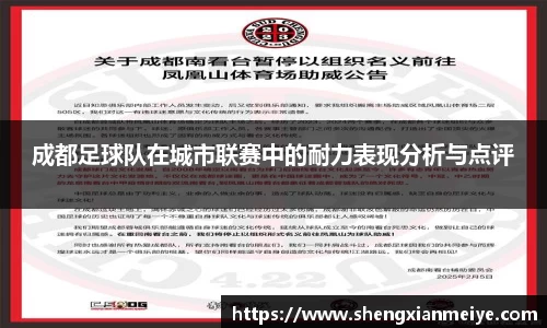 成都足球队在城市联赛中的耐力表现分析与点评