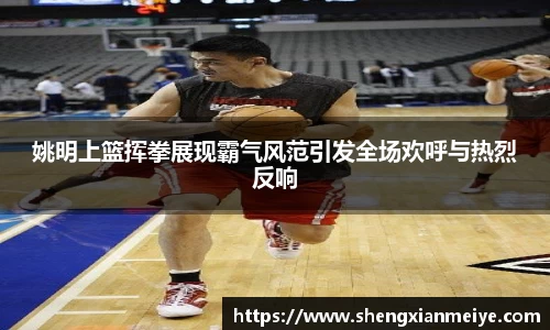 姚明上篮挥拳展现霸气风范引发全场欢呼与热烈反响