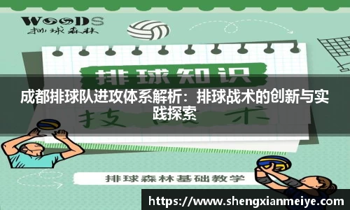 成都排球队进攻体系解析：排球战术的创新与实践探索