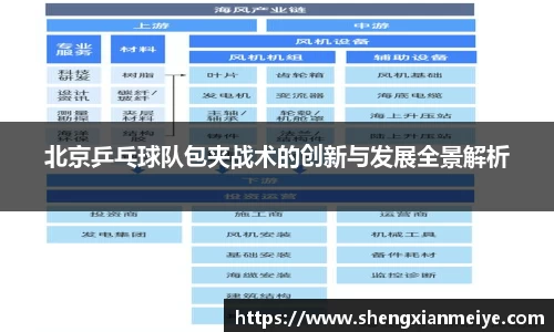 北京乒乓球队包夹战术的创新与发展全景解析