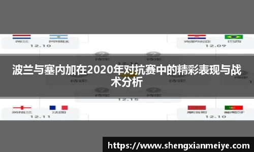 波兰与塞内加在2020年对抗赛中的精彩表现与战术分析