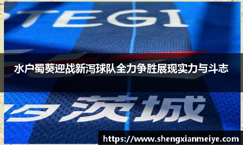 水户蜀葵迎战新泻球队全力争胜展现实力与斗志