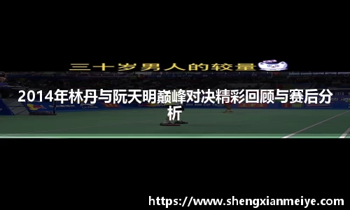 2014年林丹与阮天明巅峰对决精彩回顾与赛后分析