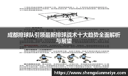 成都排球队引领最新排球战术十大趋势全面解析与展望